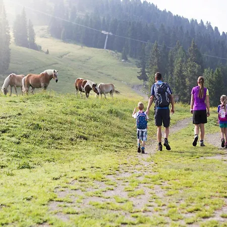 In Near Zillertal Arena * Konigsleiten