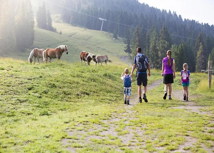 In Near Zillertal Arena * Konigsleiten